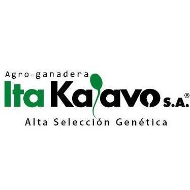 Itakaavo S.A